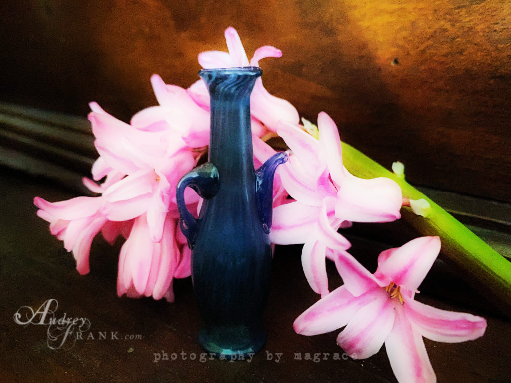 A tiny blue glass bottle stands in front of pink hyacinth blooms. This bottle is like the one referred to in Psalm 56:8 "He catches all my tears in his bottle."
