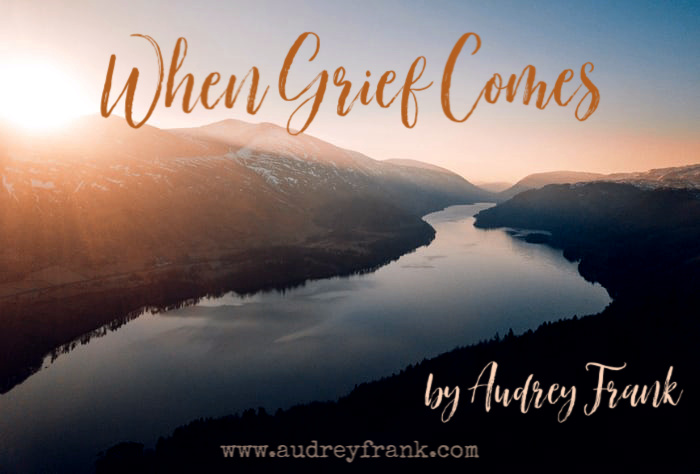 When Grief Comes by Audrey Frank