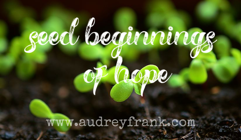Small seedlings growing out of rich soil. The words "Small Beginnings of Hope" describe the subject.
