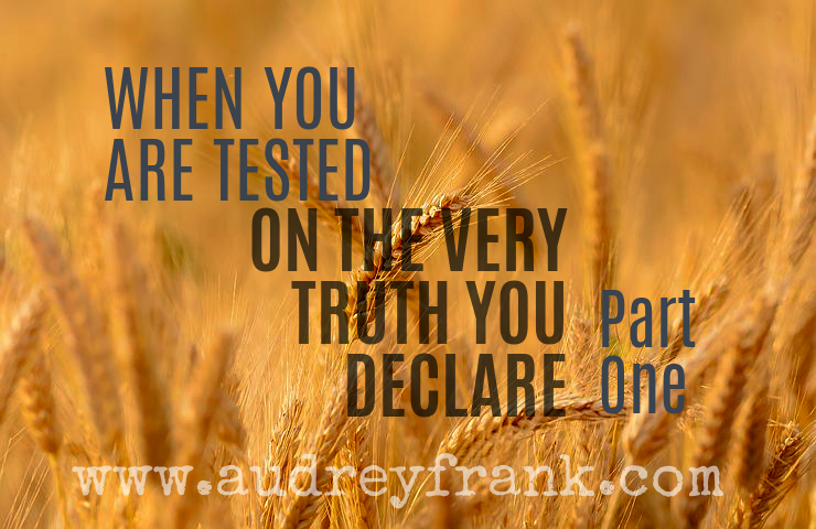 A field of wheat stalks, with the words "When you are tested on the very truth you declare, Part One," describing the subject of the post.

