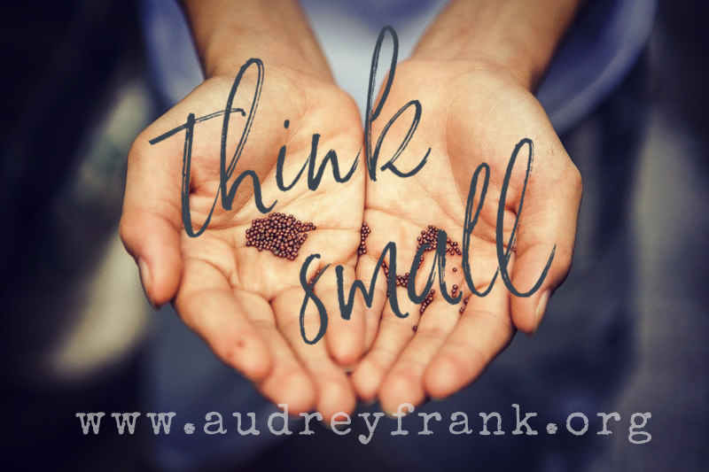 hands holding tiny mustard seeds, with the words "think small" written across them, indicating the purpose of the post. www.audreyfrank.org