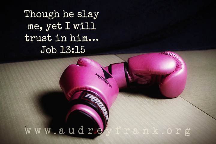 boxing gloves and the words, "Though he slay me, yet I will trust in him. Job 13:15