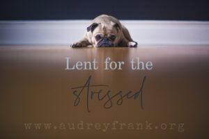 a bulldog puppy with his head on his paws and the words "Lent fo the Stressed" describing the subject of the post.