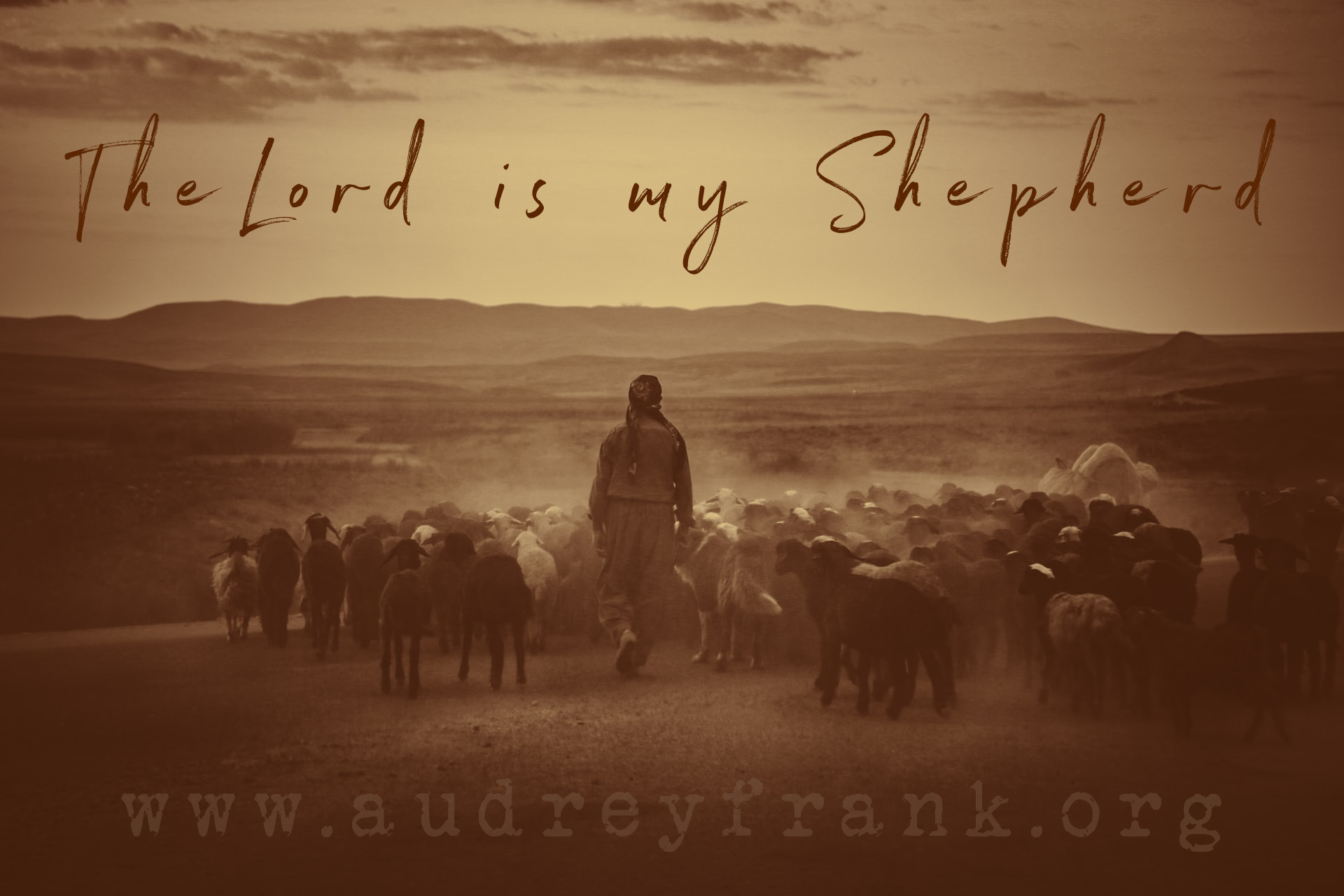 A shepherd herds sheep with the words The Lord is my Shepherd describing the subject of the post.