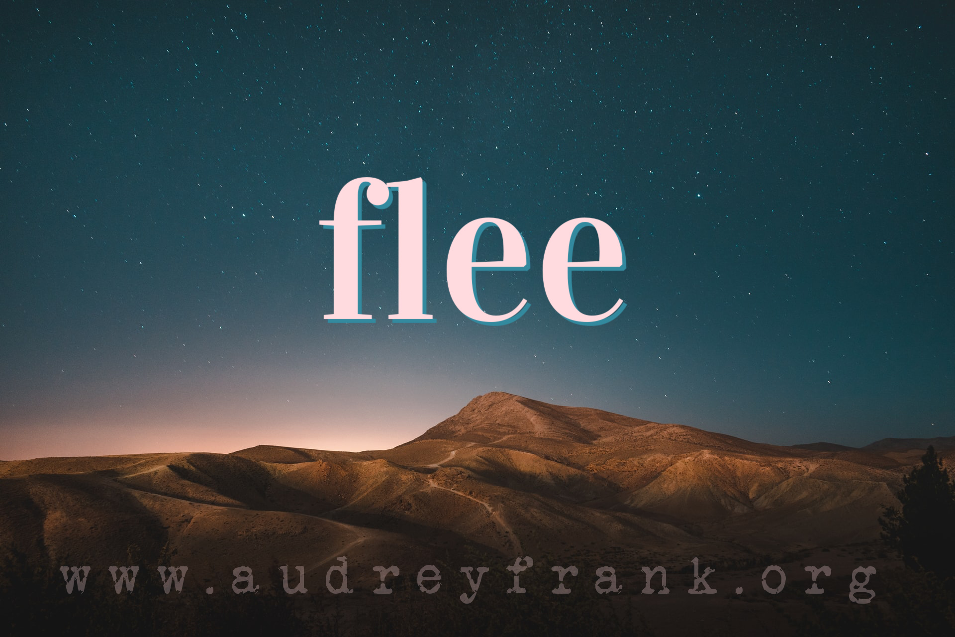 A picture of the desert at night with the word "Flee" describing the subject of the post.