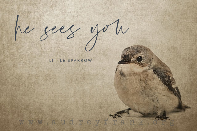a small sparrow with the words, "He sees you little sparrow" describing the subject of the post.