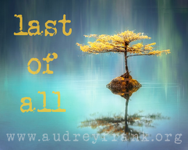 A tree in water with the words "Last of All" describing the subject of the post.