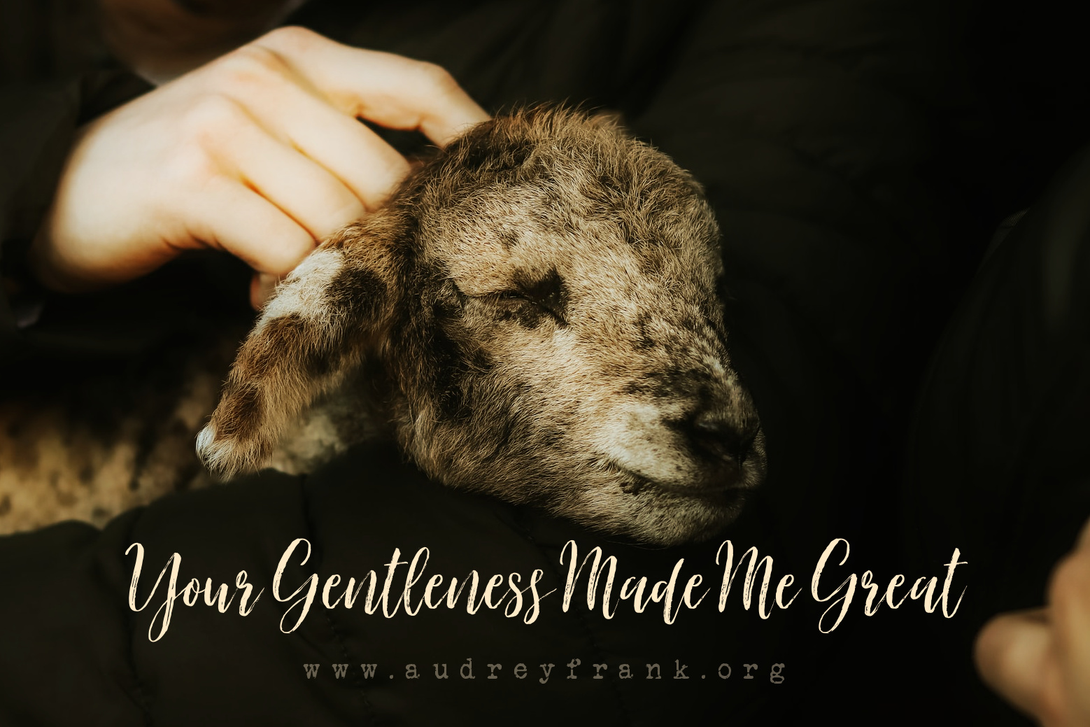 A person holding a lamb and the words, "Your Gentleness Made Me Great," describing the subject of the post.