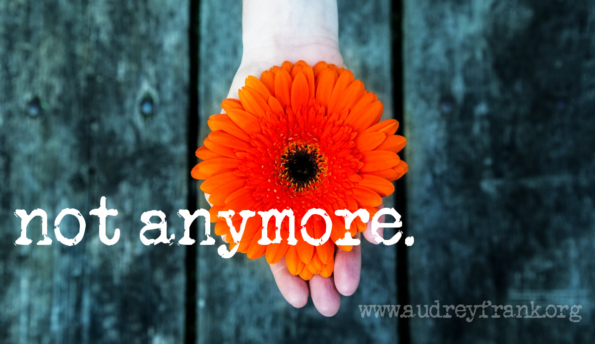 A hand holding out an orange flower with the words "Not Anymore."