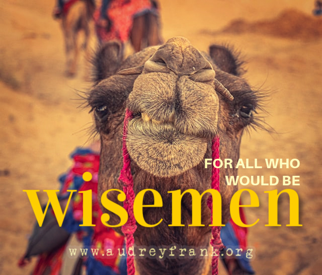 a camel holding a bridle with the words for all who would be wisemen, describing the subject of the post.