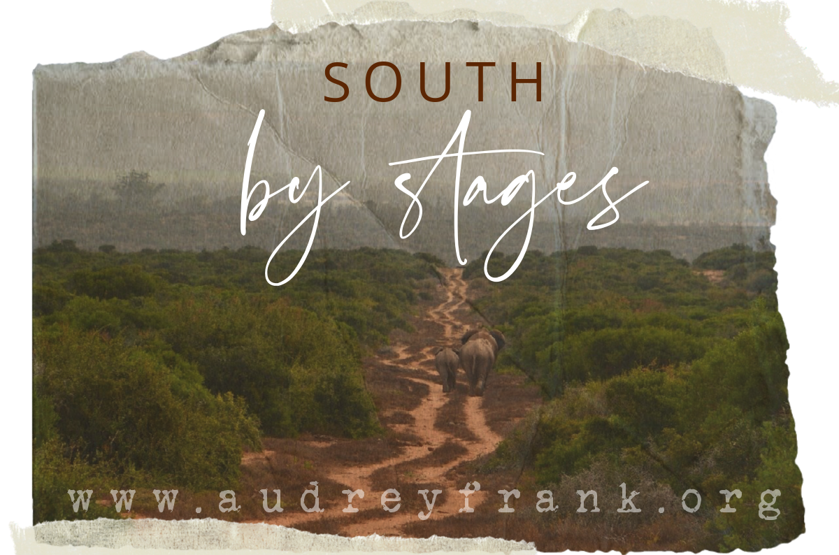 a faded photo of two elephants trundling down an african path with the words "south by stages" describing the subject of the post.