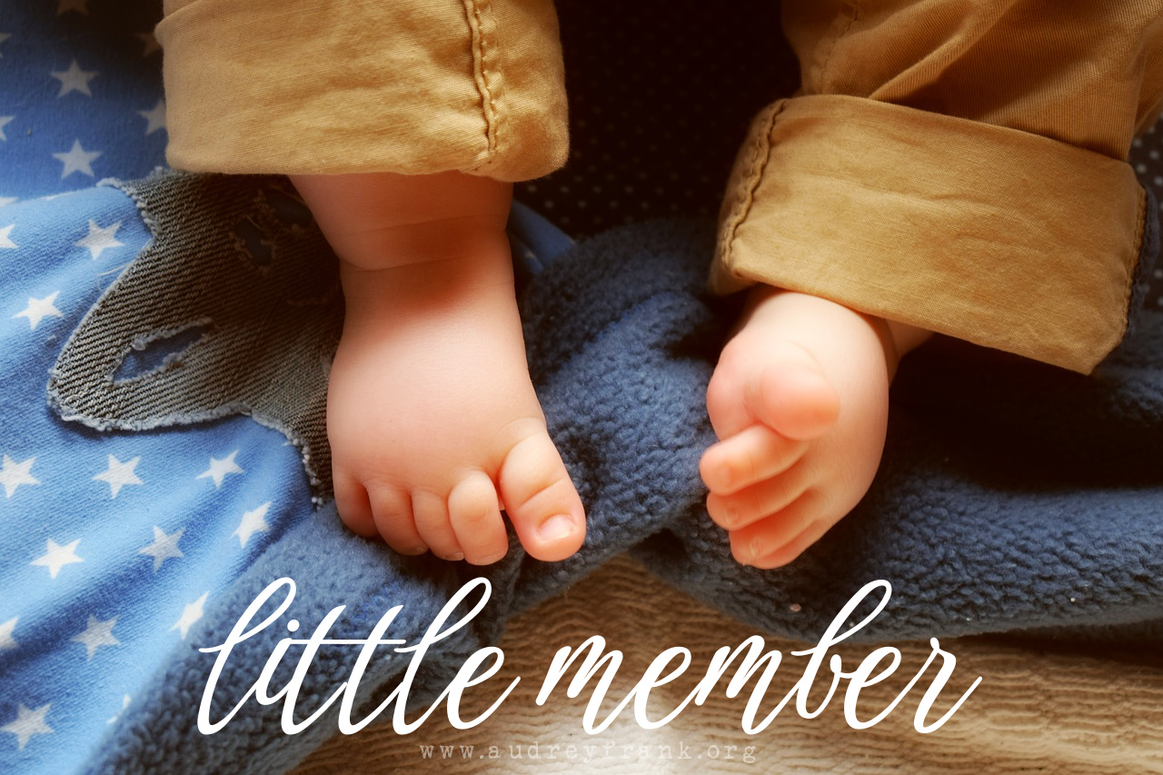 baby toes and the words "Little Member" describing the subject of the post.