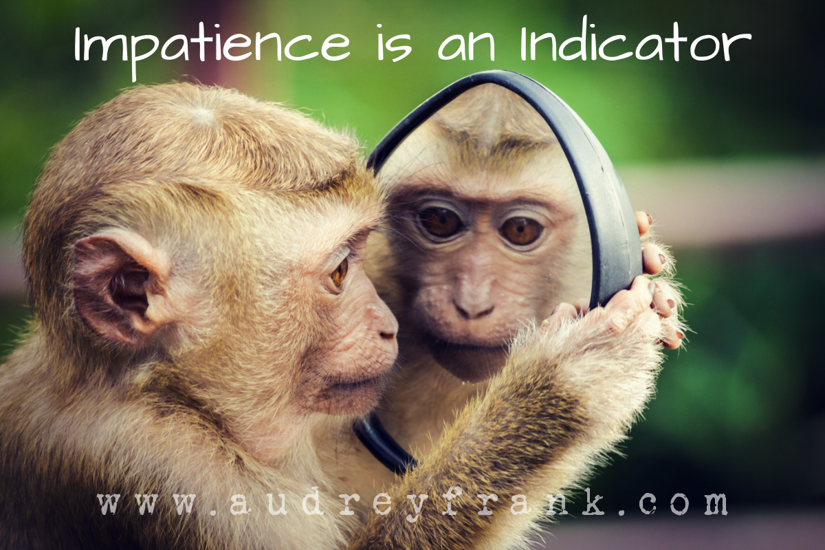 A monkey looking in the mirror with the word Impatience is an Indicator describing the subject of the post.