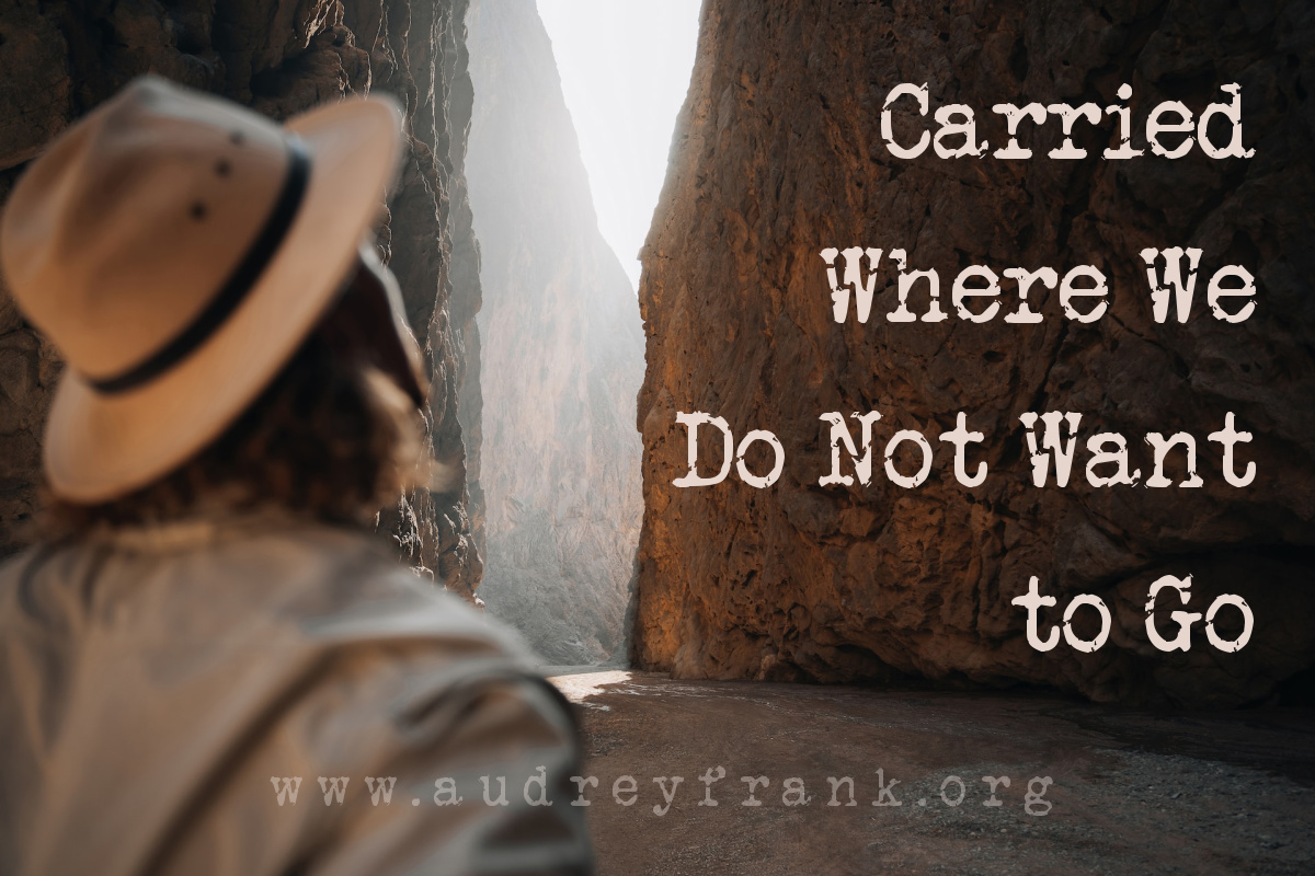 A person looking at a narrow passage between two mountains and the words "Carried Where We Do Not Want to Go" describing the subject of the post.