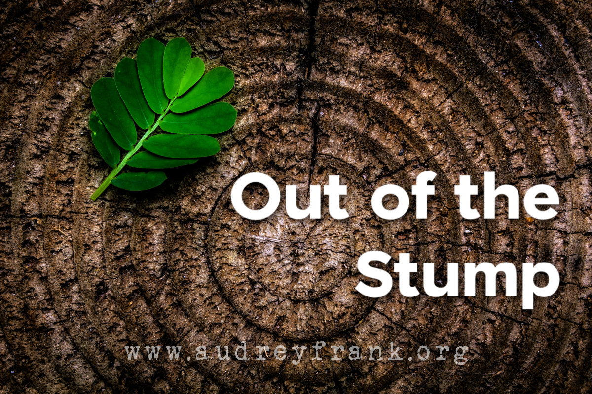 a stump with a bright green leave and the words, "Out of the Stump" describing the subject of the post.