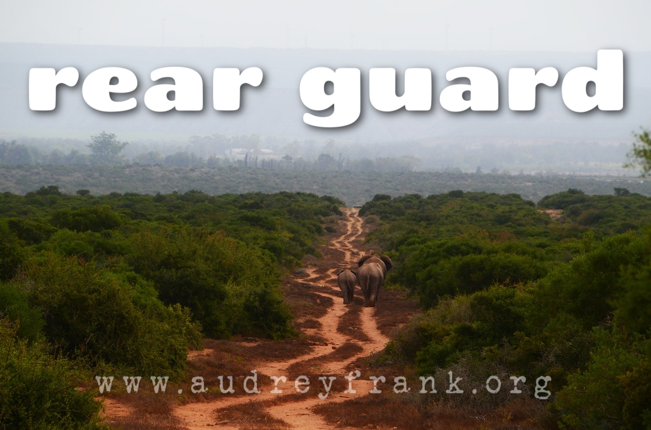 a picture of an African path with elephants walking into the distance and the words "Rear Guard" describing the subject of the post.