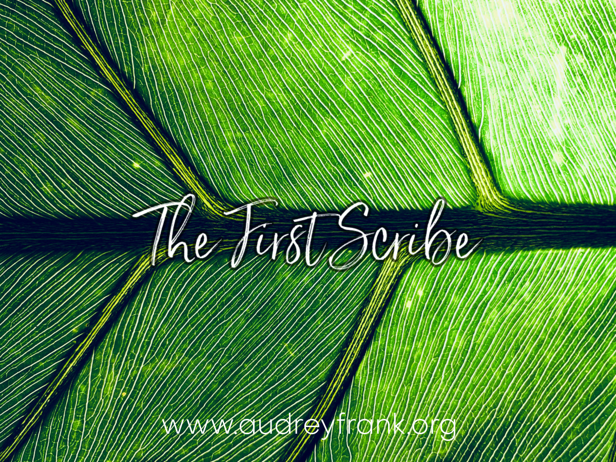 An up close photo of the lines on a leaf with the words "the First Scribe" describing the subject of the post.