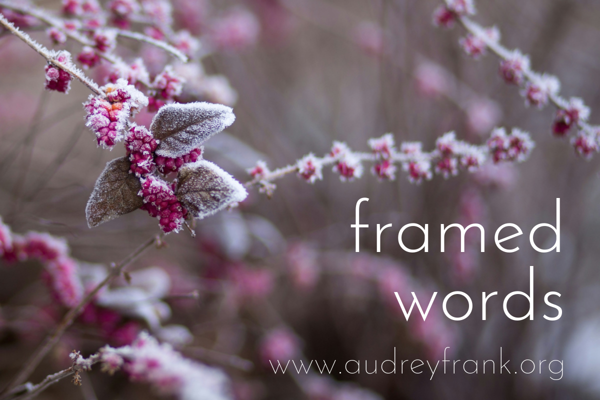 frozen berries on a bush and the words "framed words" as the title of the post.