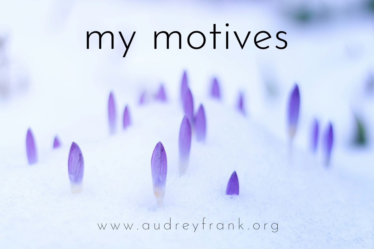purple crocus buds peeking through snow and the words "my motives" describing the subject of the post.