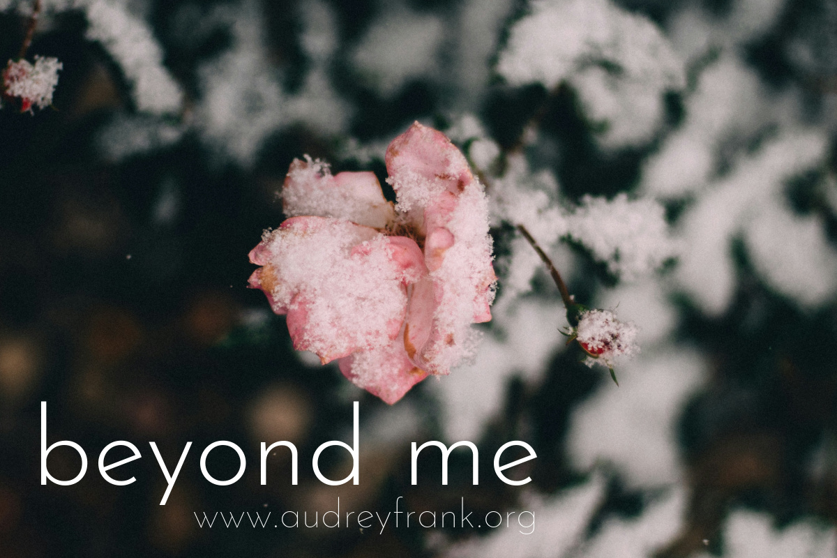 a rose frozen in snow with the words "Beyond Me" describing the subject of the post.