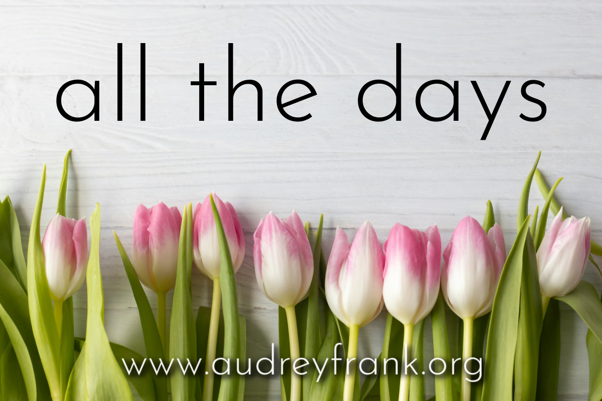 a row of tulips, like a row of days, and the words all the days indicating the subject of the post.