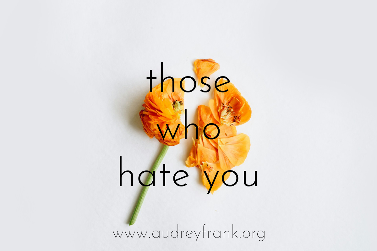 a broken flower with the words "Those who hate you" describing the subject of the post.