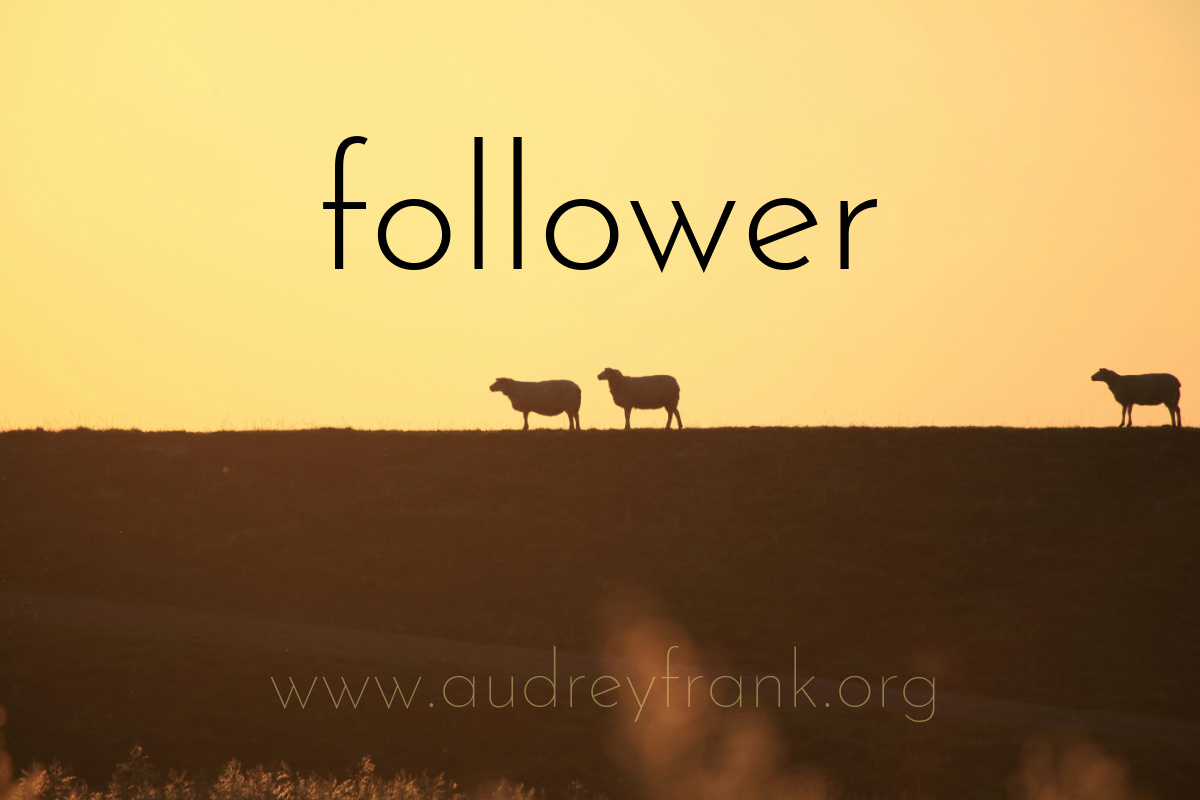 sheep walking in silhouette and the word follower describing the subject of the post.