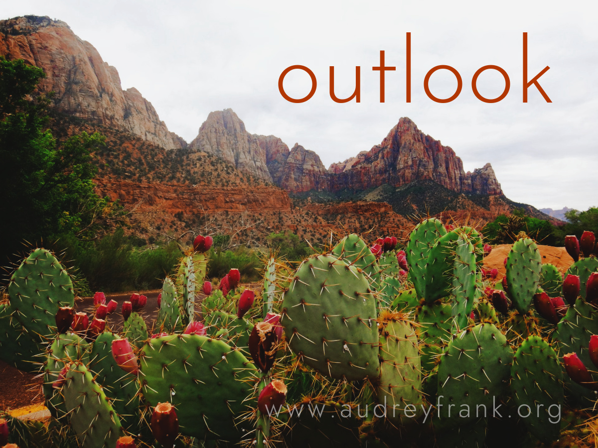 desert flowers with distant mountains and the word Outlook describing the subject of the post.